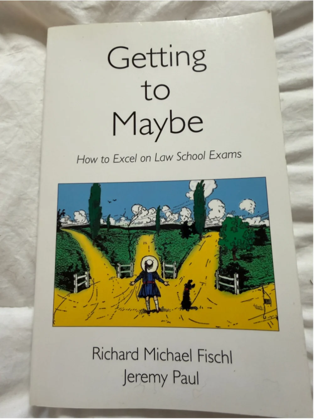 NEW Getting to Maybe: How to Excel on Law School Exams BOOK